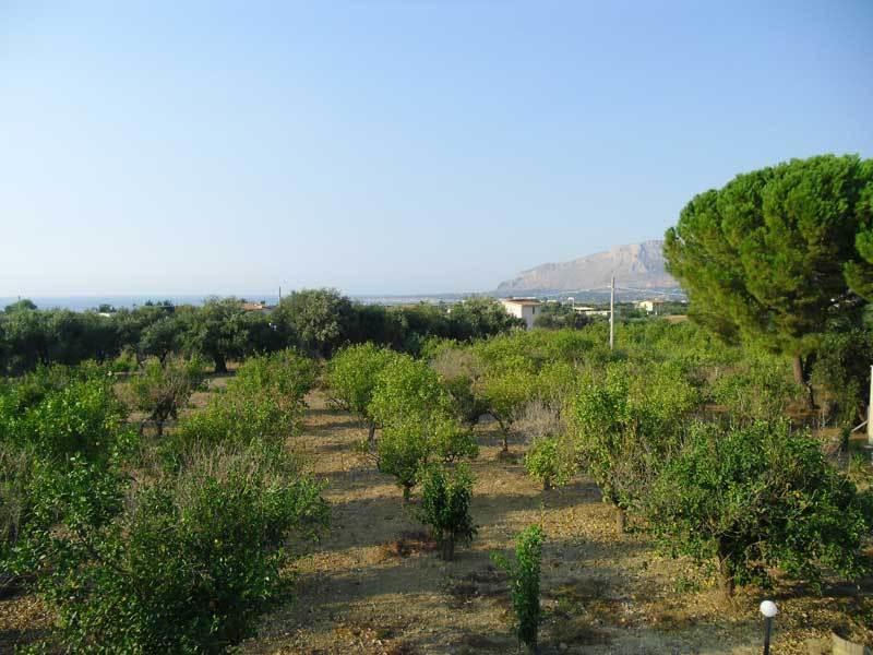 "Green" B&B Il Bracco Partinico Exterior photo
